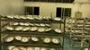 Rygh 80W UFO Highbay Supply Hall Bay LED Light NSF Food Light untuk Pabrik Area Pengolahan Makanan